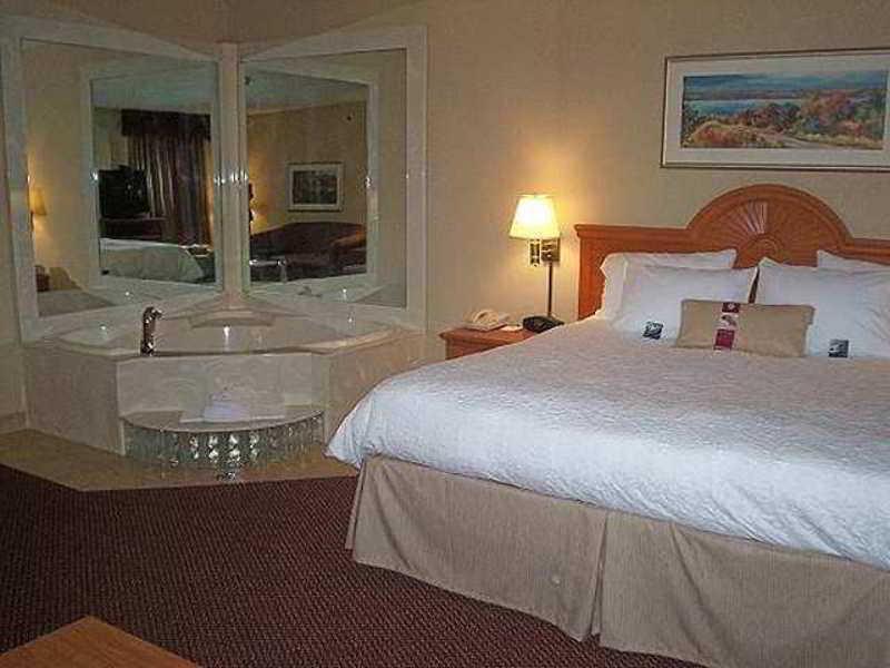 Hampton & Detroit Hotel 3*